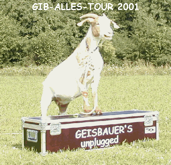 GIB-ALLES-TOUR 2001